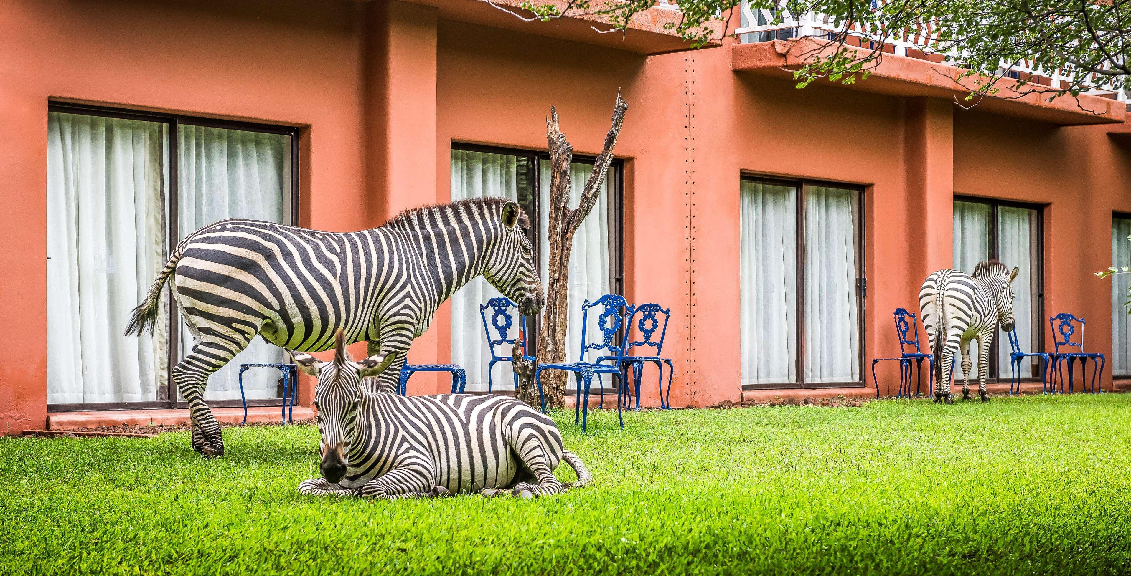 Avani Victoria Falls Resort Livingstone Dış mekan fotoğraf