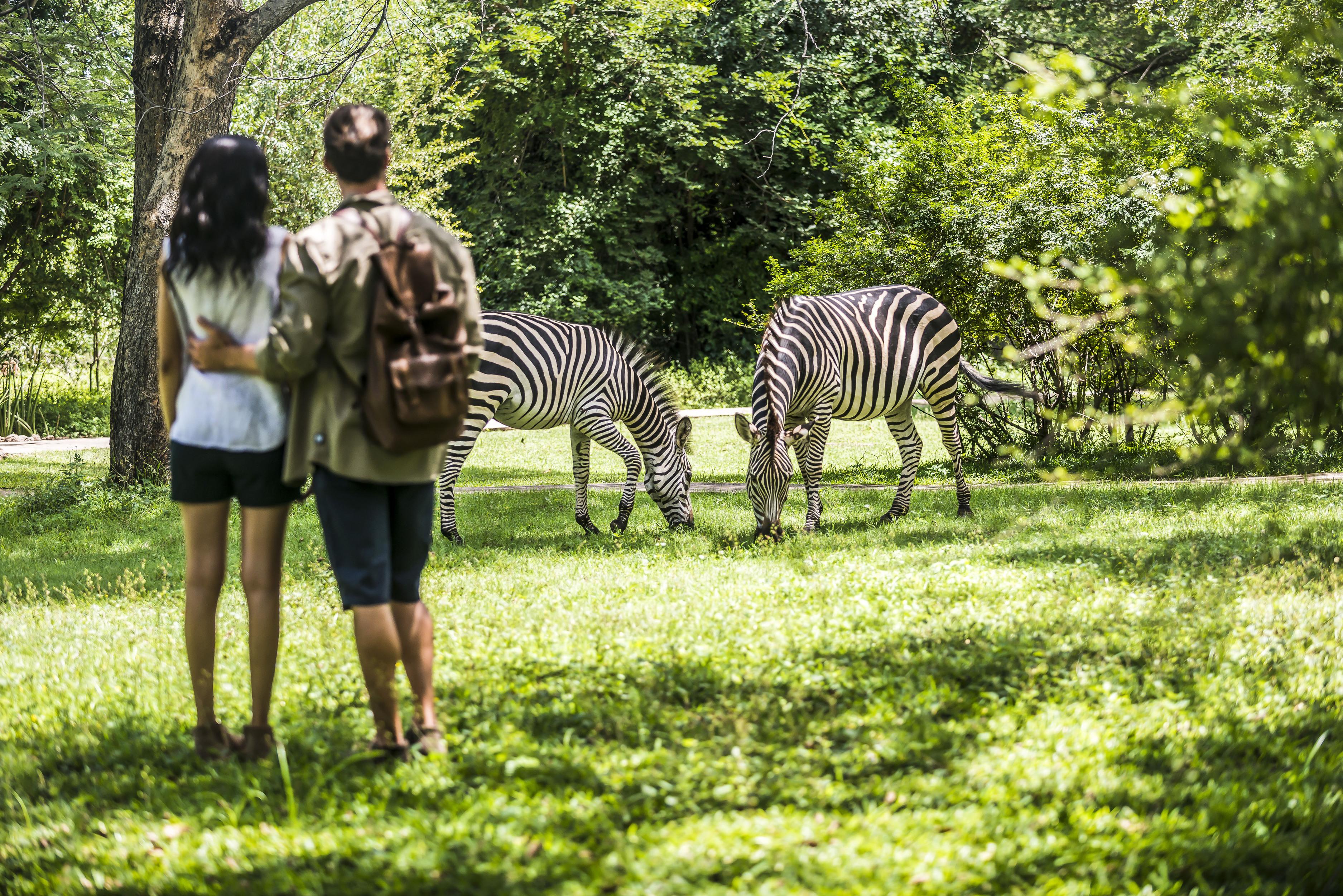 Avani Victoria Falls Resort Livingstone Dış mekan fotoğraf